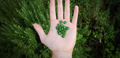 chlorella posologie